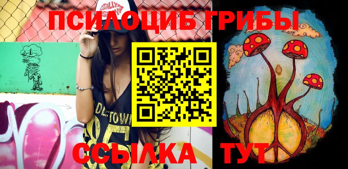 Псилоцибиновые грибы Cubensis Лосино-Петровский
